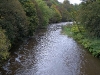 River Pictures