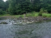        On the River                         