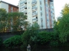       Urban Fly Fishing                          