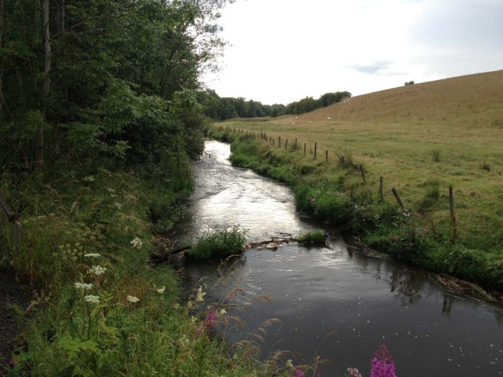 Picture from the Luggie near Chryston.